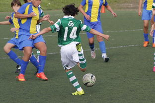 开云入口-Ming在美国队比赛中最后时刻胜出，最后时刻胜出引发热议！热度持续攀升